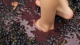 Join grape stomping festivals across Germany and Europe in 2025. Find dates, places, ticket info, and tips to enjoy this ancient winemaking ritual barefoot.