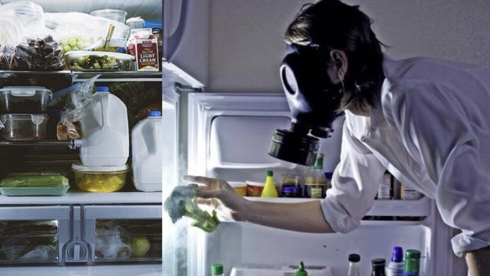 Bad smell in the fridge? Discover health risks, root causes, ideal fridge temperature, and natural ways to eliminate refrigerator odors for good.