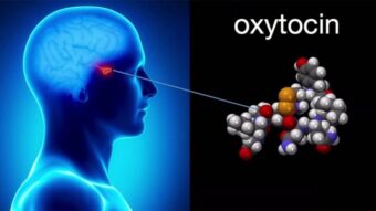 Oxytocin influences trust, healing, and emotional resilience. Learn how it works, what deficiency looks like, and how to naturally boost it every day.