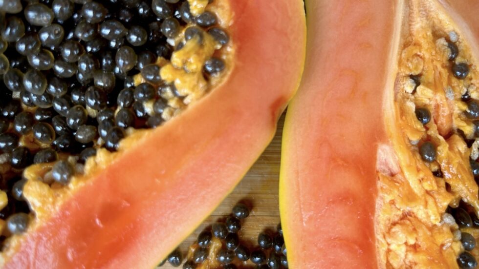 Discover how papaya supports digestion, immunity, and overall health for children, adults, and seniors. Ideal fruit for balanced daily nutrition.