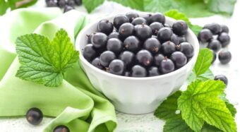 Discover how to grow and care for blackcurrants in Germany, where to pick them, what varieties to plant, and how to use them at home.
