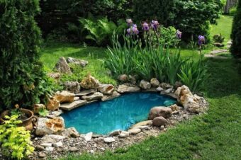 Garden pond in Germany: how to build one yourself. Pond liner or prefabricated form, water filtration, plants, fish, costs, and wintering tips for 2025.
