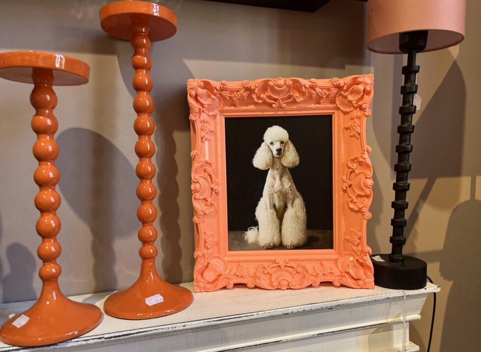 Discover how vintage frames became the top décor trend of 2025. Practical tips, color strategies, sourcing advice, and styling ideas for every home.