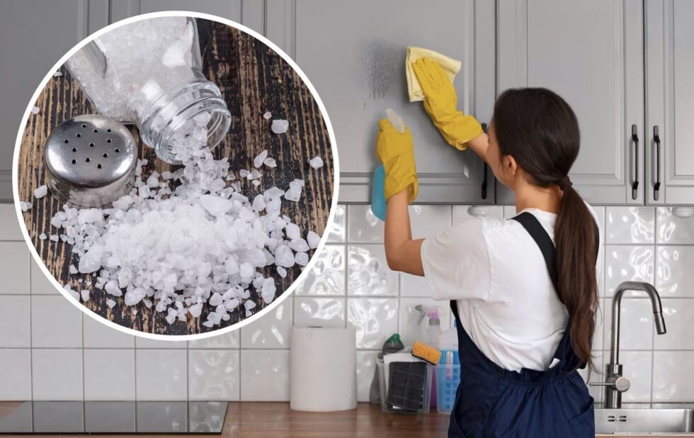 Discover how kitchen salt can be used not only in cooking but also for home cleaning. Learn practical tips for stains, laundry, surfaces, and deodorizing.
