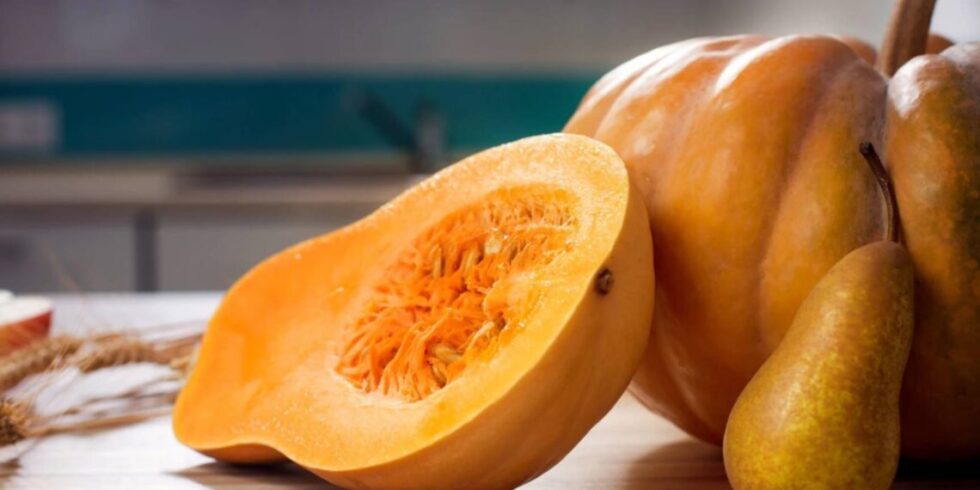 Discover pumpkin’s calories, health benefits, varieties and seasonal uses. Learn how to prepare it, what to avoid and who should limit consumption.