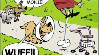 German cartoonist Andreas Brandt, known as Sebby, captures the chaos of modern life in his comic series “New Times” – mixing humor, irony and sharp social insight.