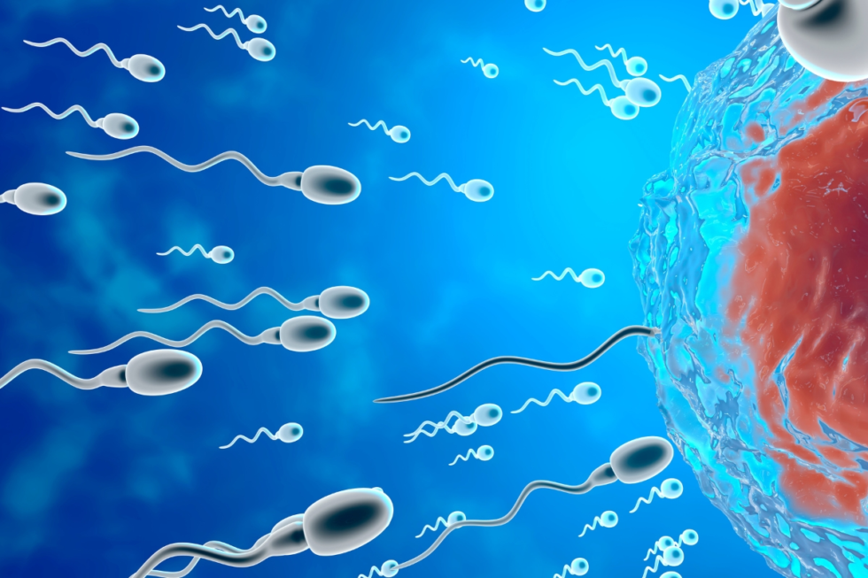 Young founder Eric Zhu, just 18, raises $10M for his biotech start-up “Sperm Racing,” merging science, AI, and entertainment to gamify male fertility and health awareness.