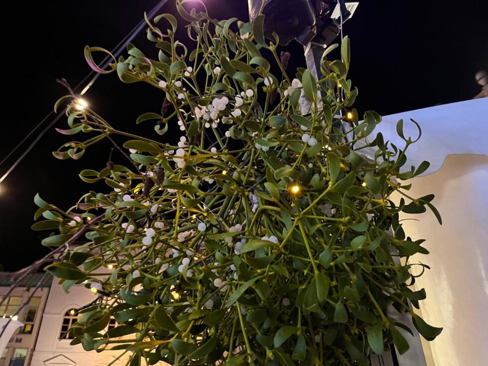 What Does a Kiss Under the Mistletoe Really Mean? History, Symbolism and Christmas Tradition