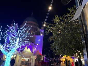 What does a kiss under the mistletoe mean? Origins, symbolism and cultural meaning of this Christmas tradition explained clearly and accurately.