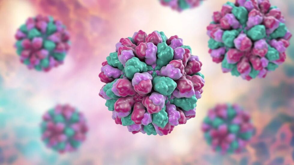 Norovirus alert in Germany: The new GII.17 variant has caused a 30% spike in cases according to RKI data. Experts warn of a highly contagious and severe 2025 season.